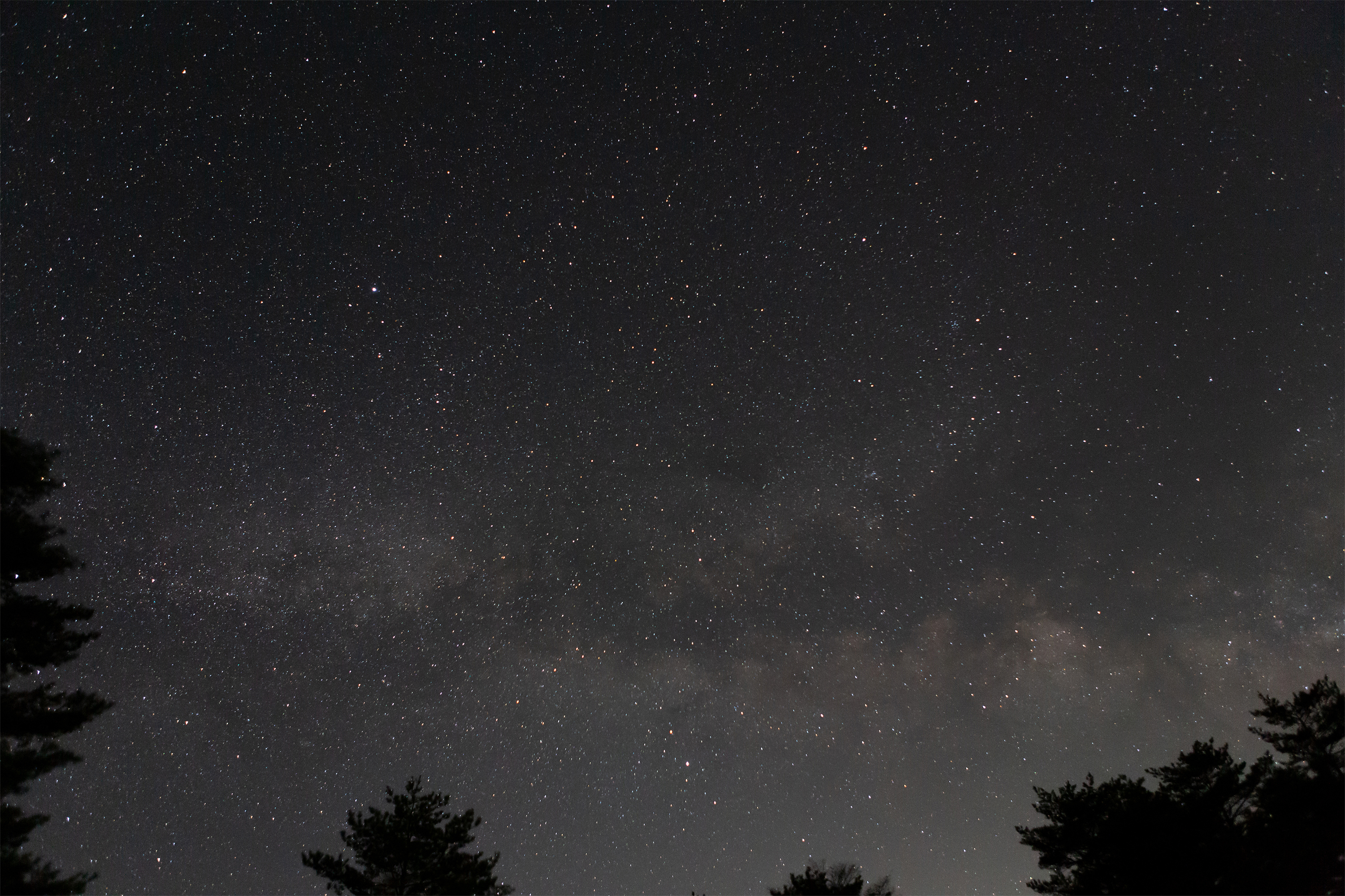星空と木のシルエット 無料の高画質フリー写真素材 イメージズラボ