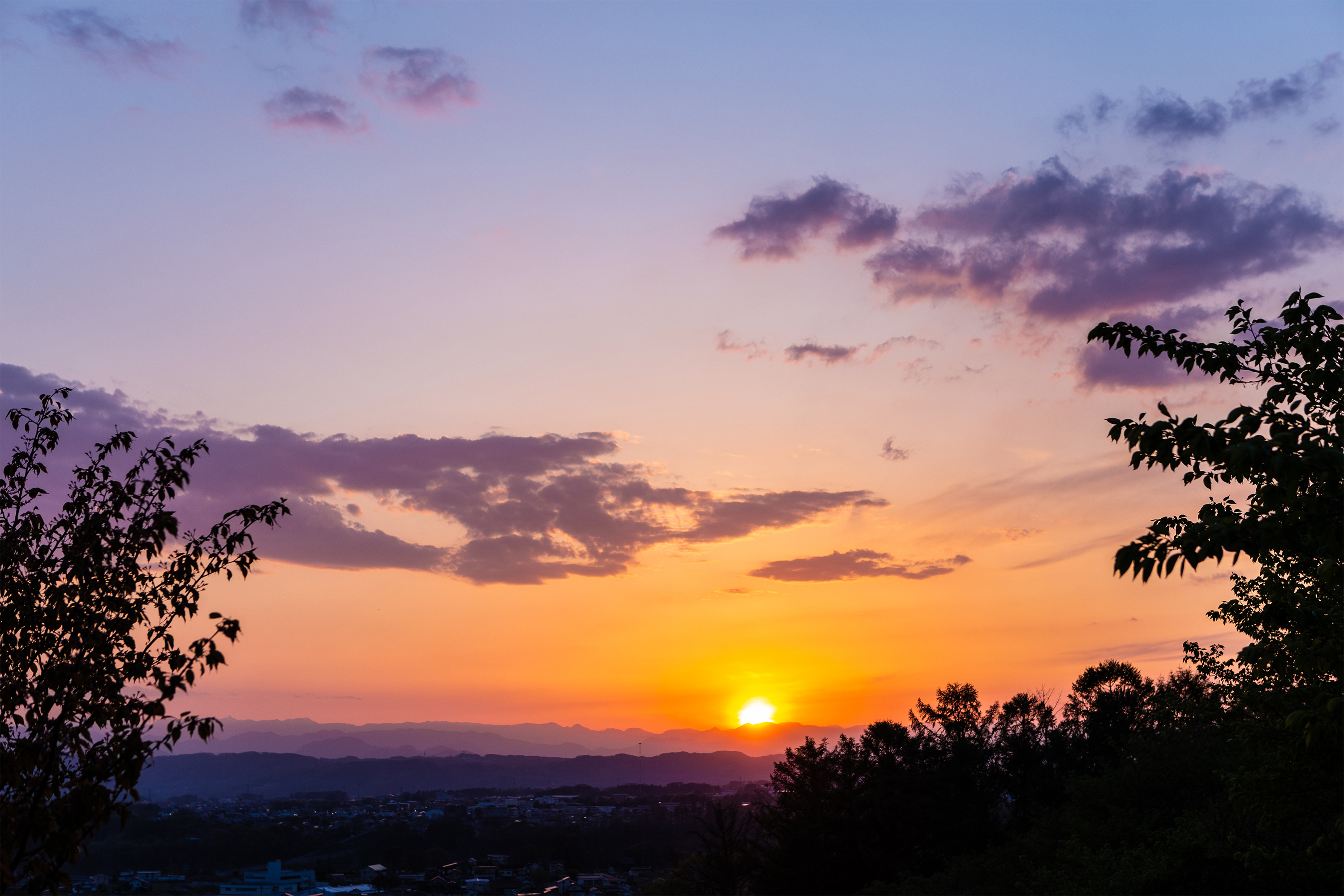 木の陰と山に沈む夕日 夕焼け 無料の高画質フリー写真素材 イメージズラボ