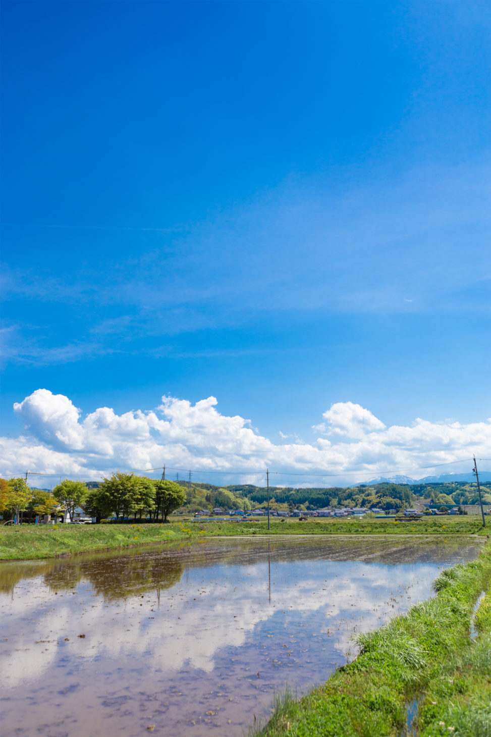 田植え前の水田と空の風景の写真素材
