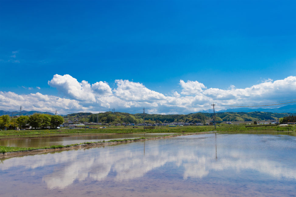 田植え前の水田と空の風景02の写真素材