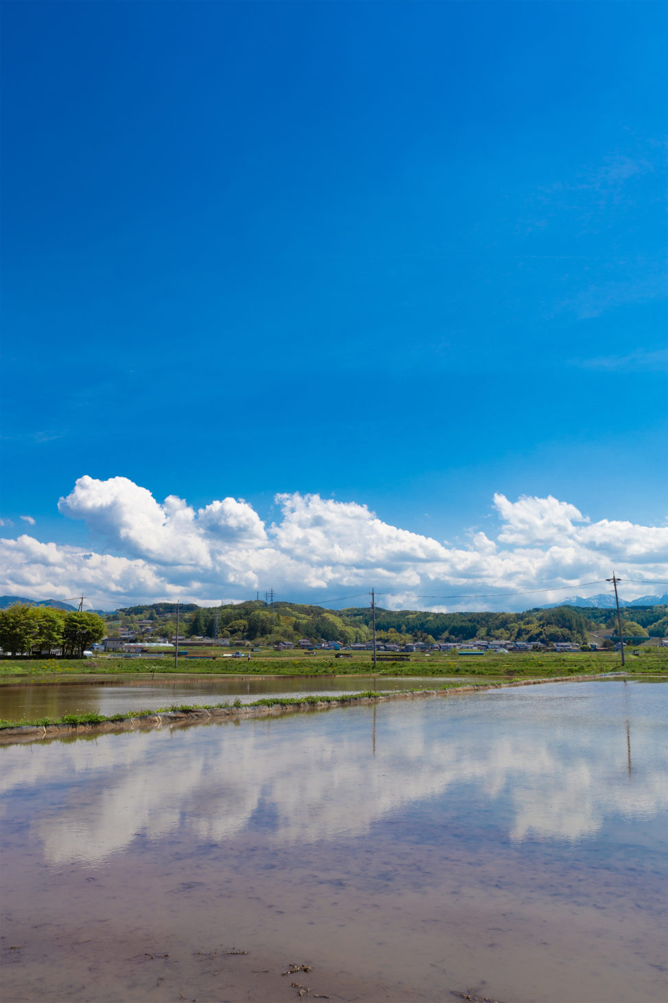 田植え前の水田と空の風景03の写真素材