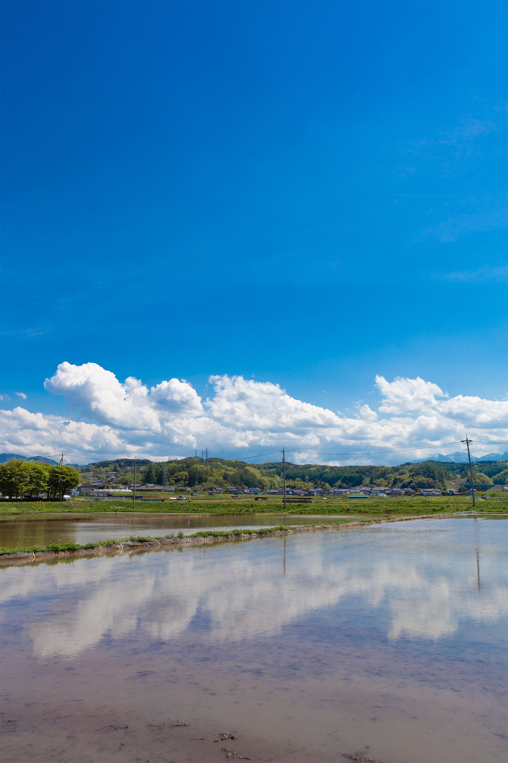 田植え前の水田と空の風景03 無料の高画質フリー写真素材 イメージズラボ