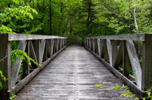 森林の中にある木の橋の写真素材