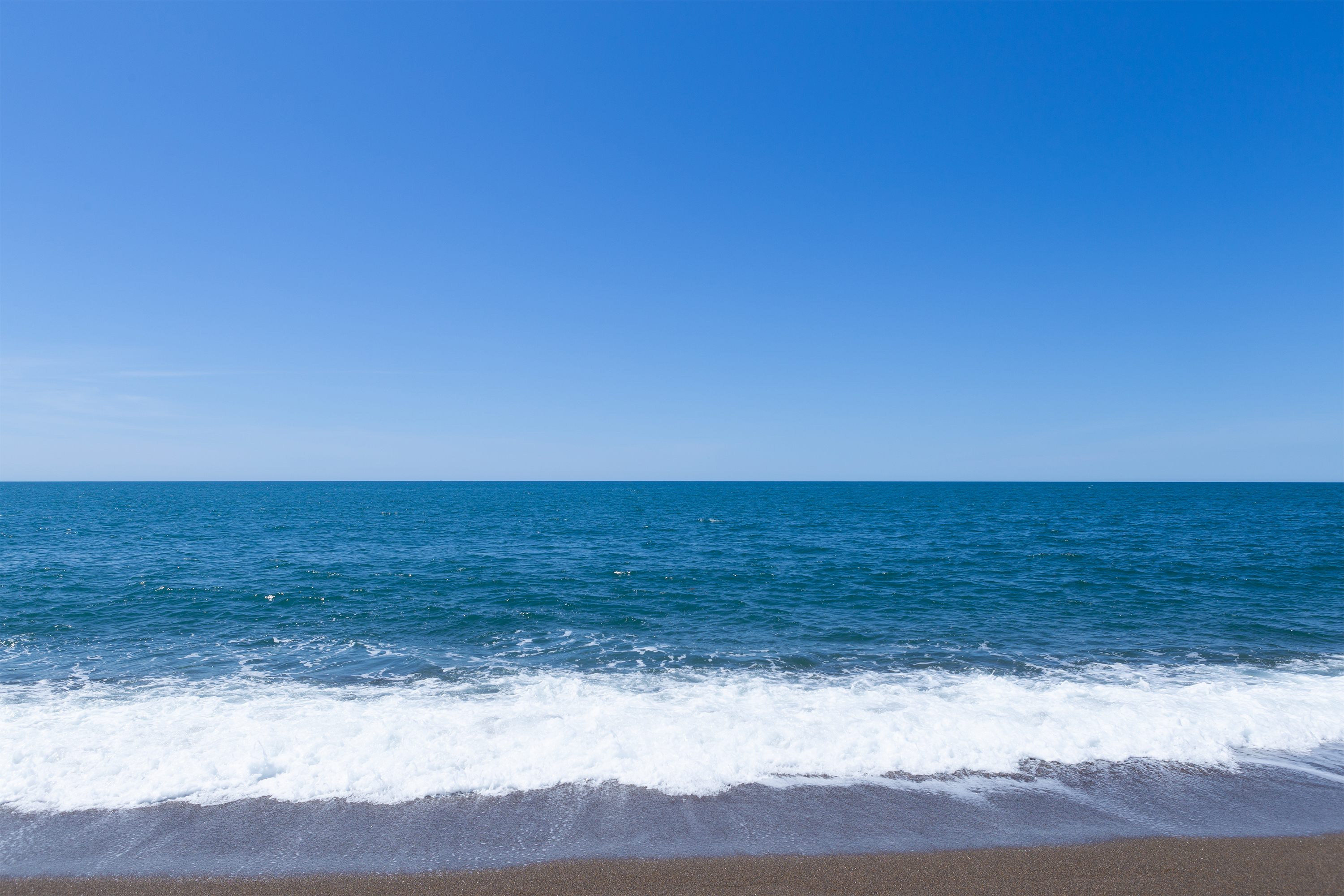 海 無料素材 ただ素晴らしい花