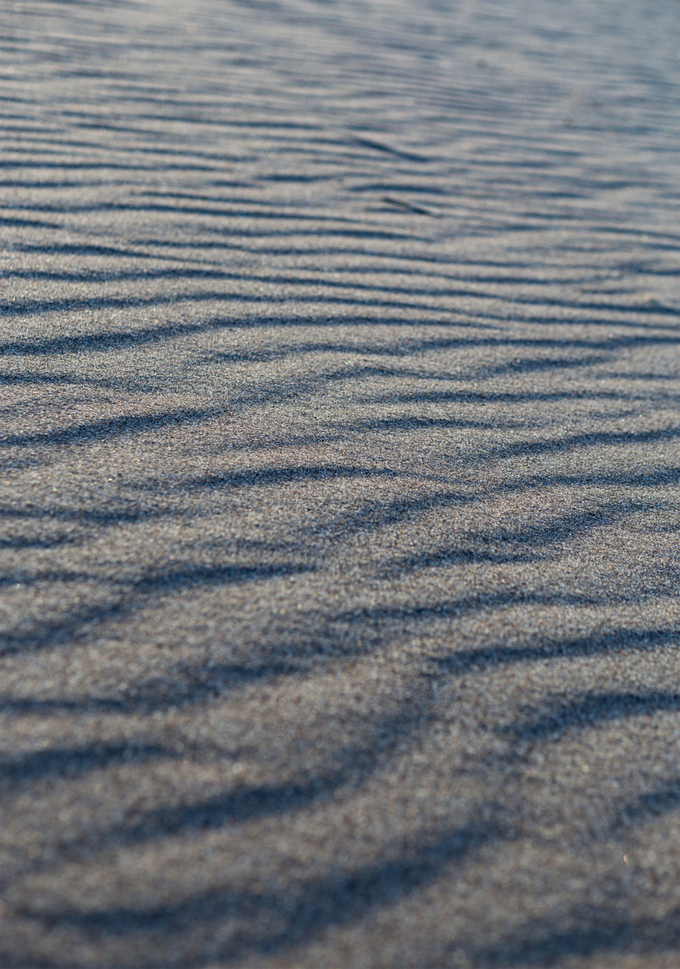 砂浜・砂丘のテクスチャーの写真素材