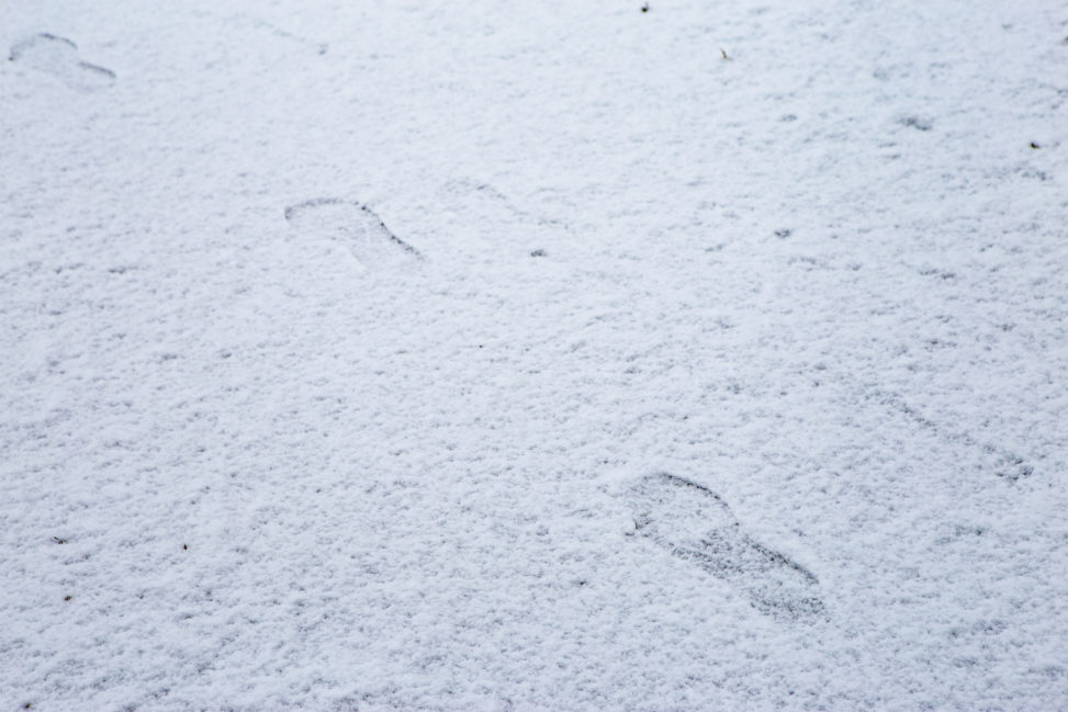 雪と足跡の写真素材
