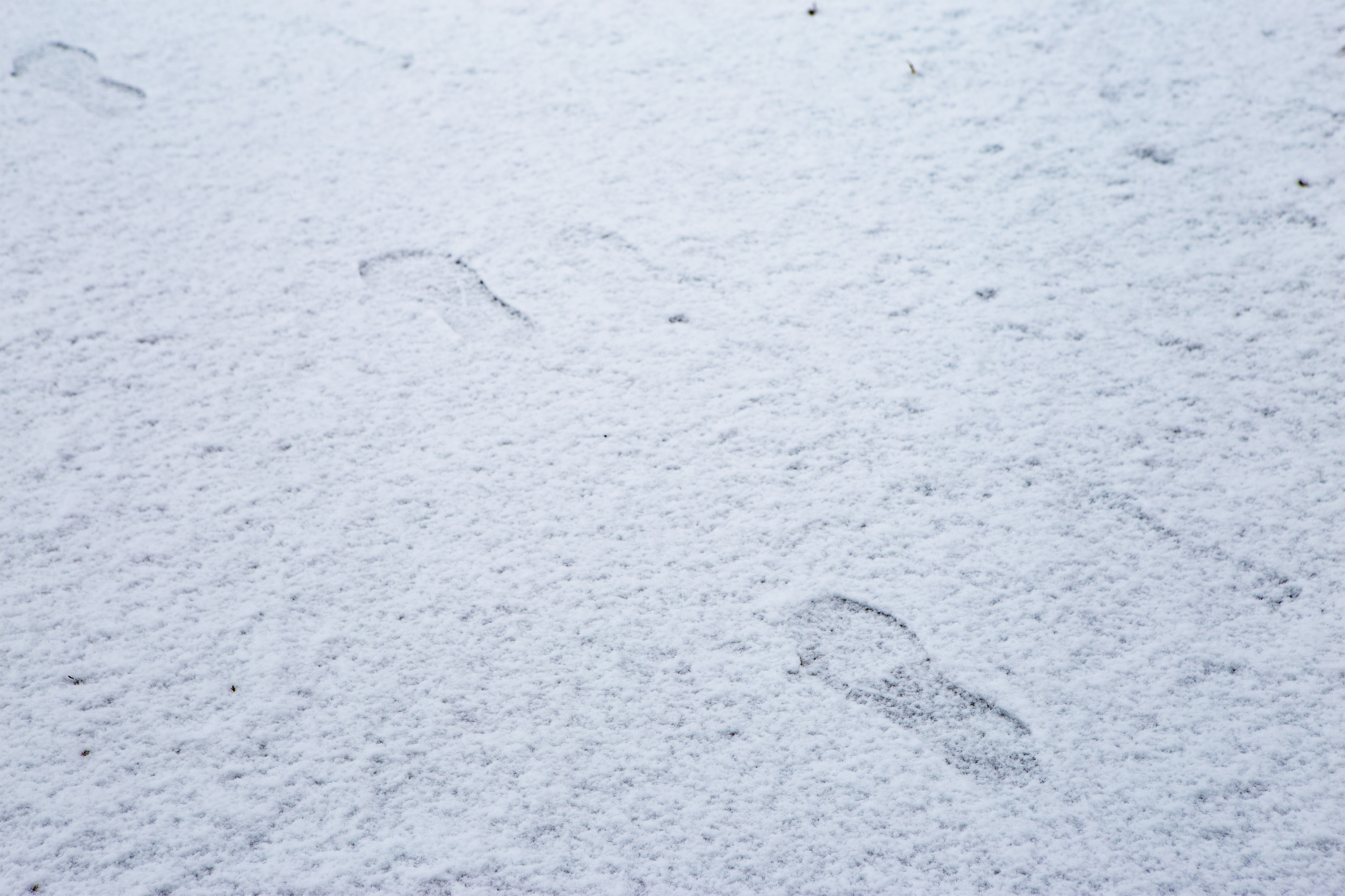 雪と足跡 無料の高画質フリー写真素材 イメージズラボ