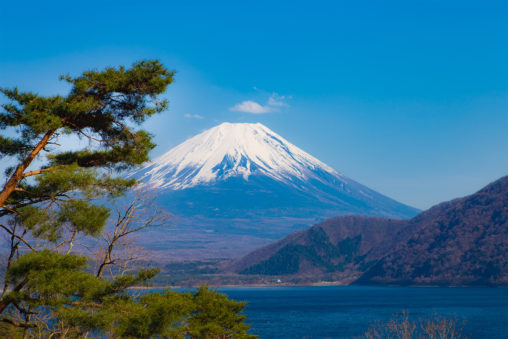 松と本栖湖と富士山のフリー写真素材