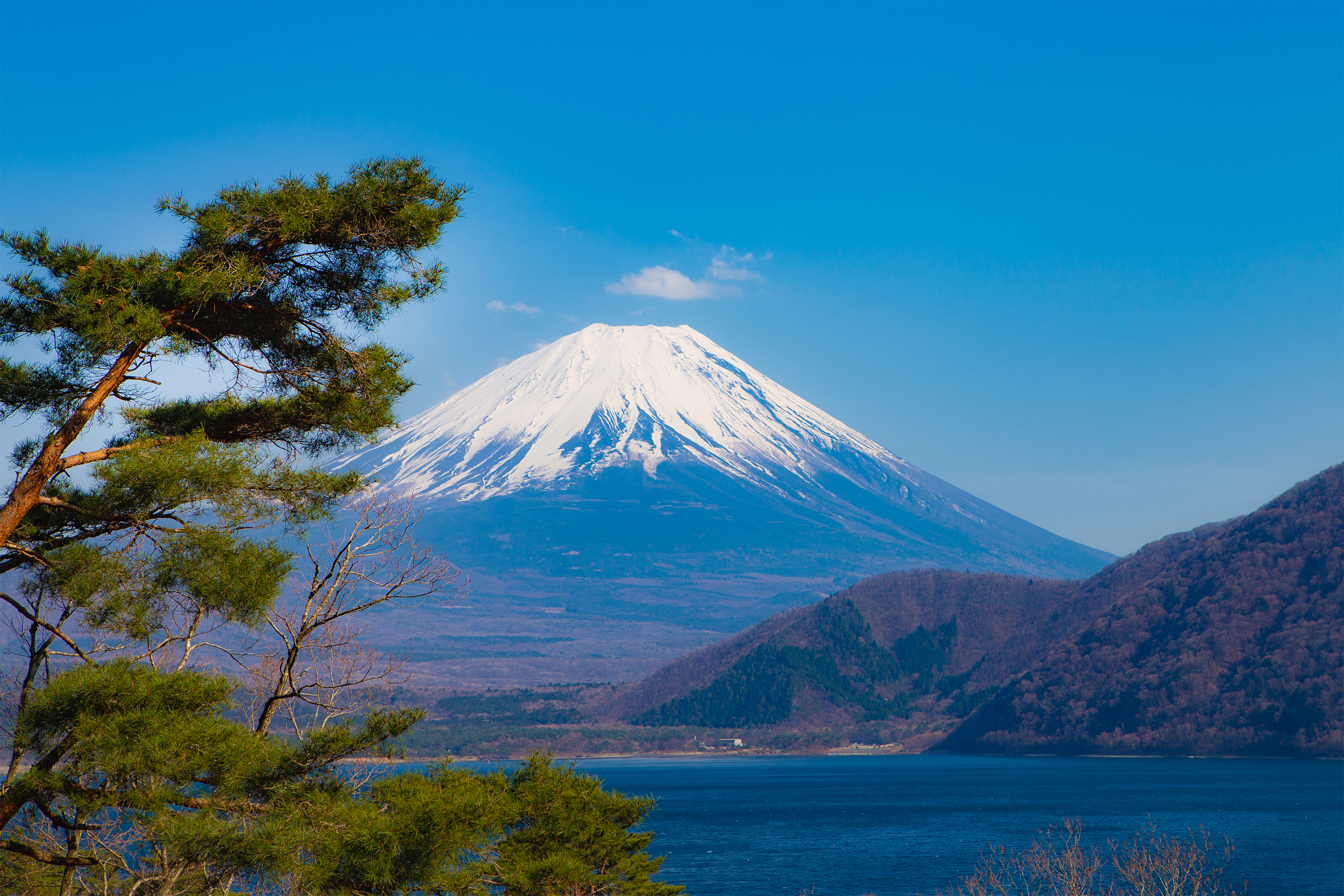松と本栖湖と富士山 無料の高画質フリー写真素材 イメージズラボ