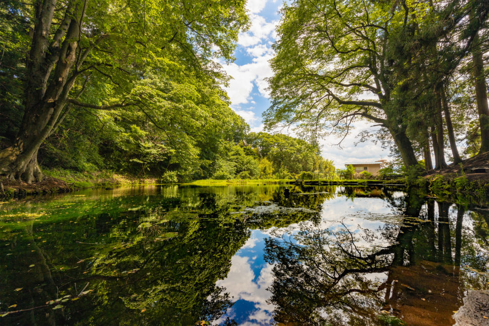 空が反射している大沼の池のフリー写真素材