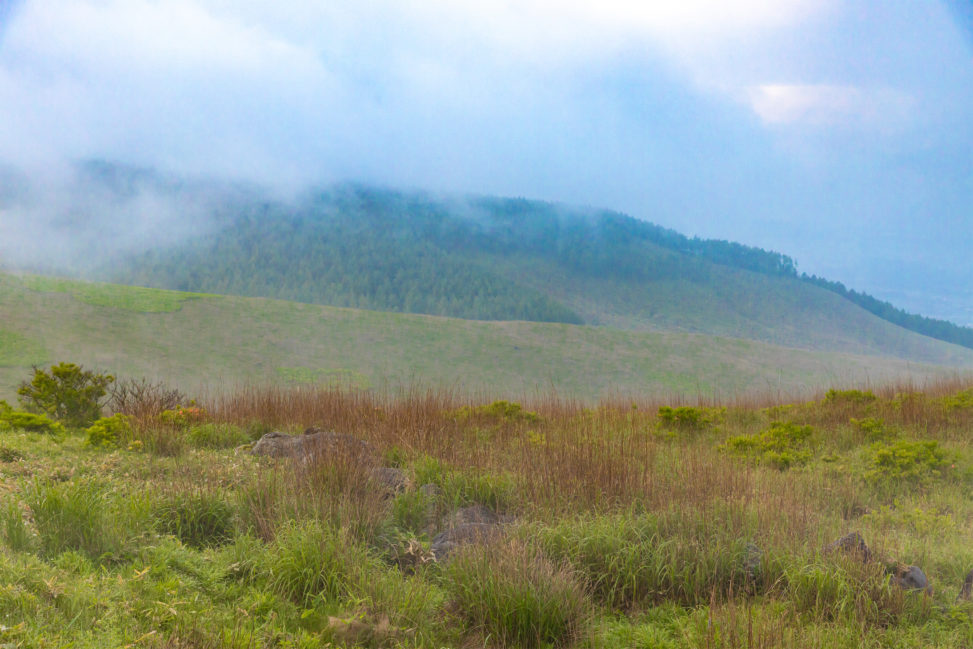 早朝の霧ヶ峰のフリー写真素材