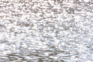 太陽光が水面にキラキラ反射の写真
