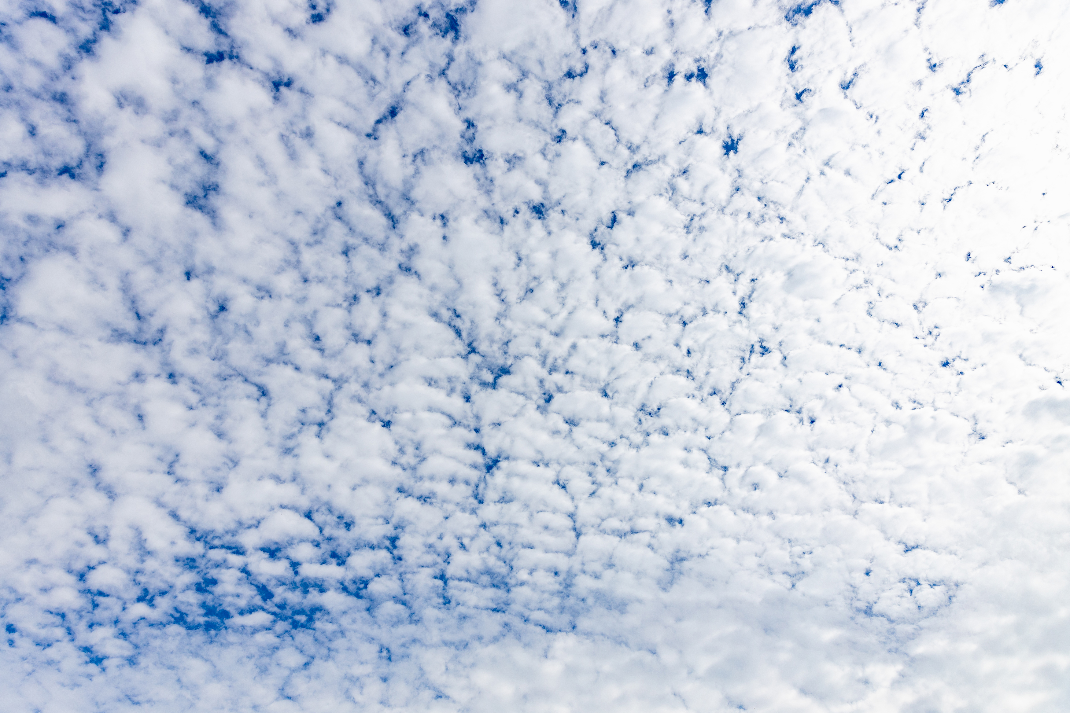 羊雲 ひつじ雲 無料の高画質フリー写真素材 イメージズラボ