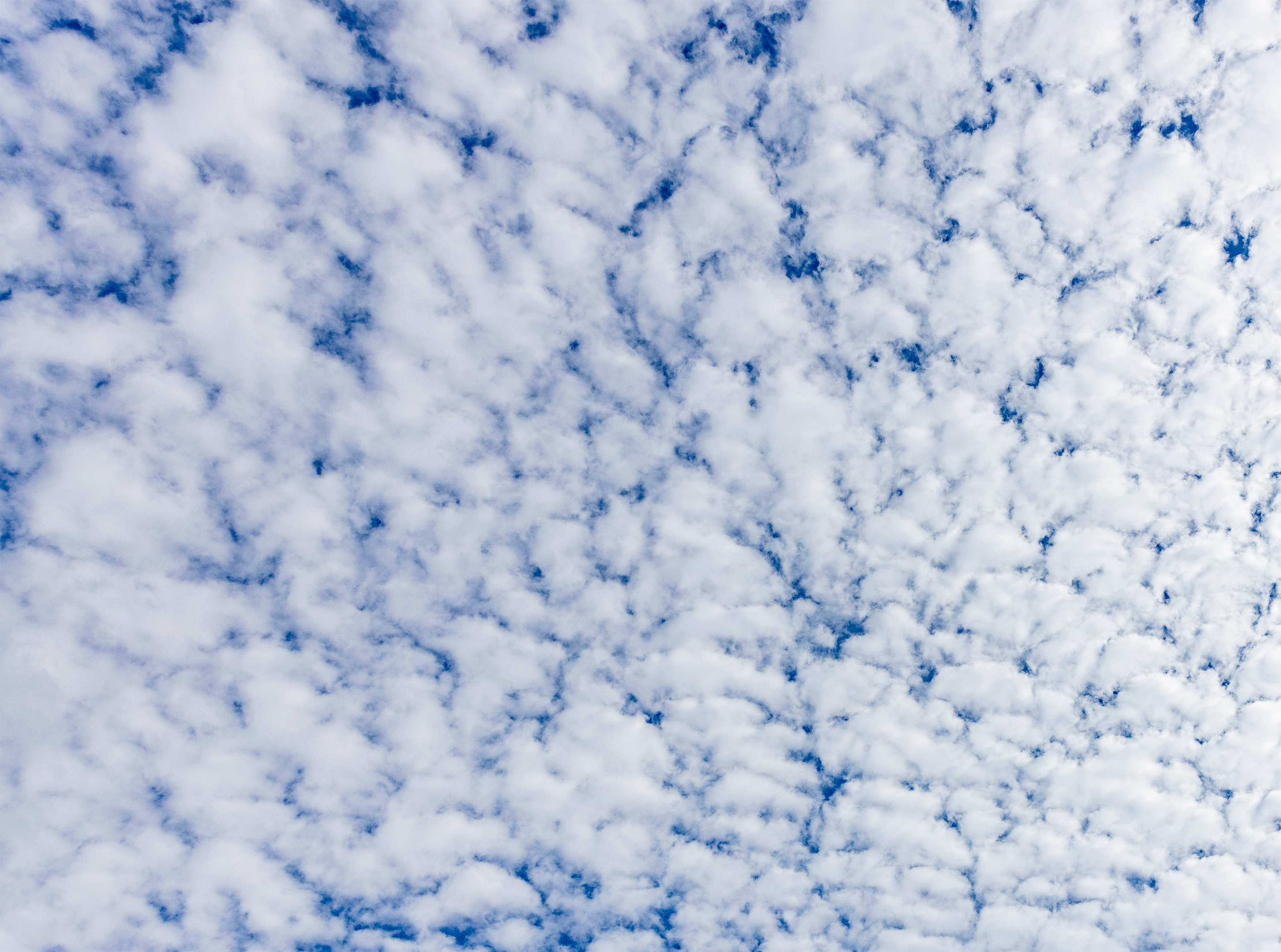 羊雲 ひつじ雲 2 無料の高画質フリー写真素材 イメージズラボ