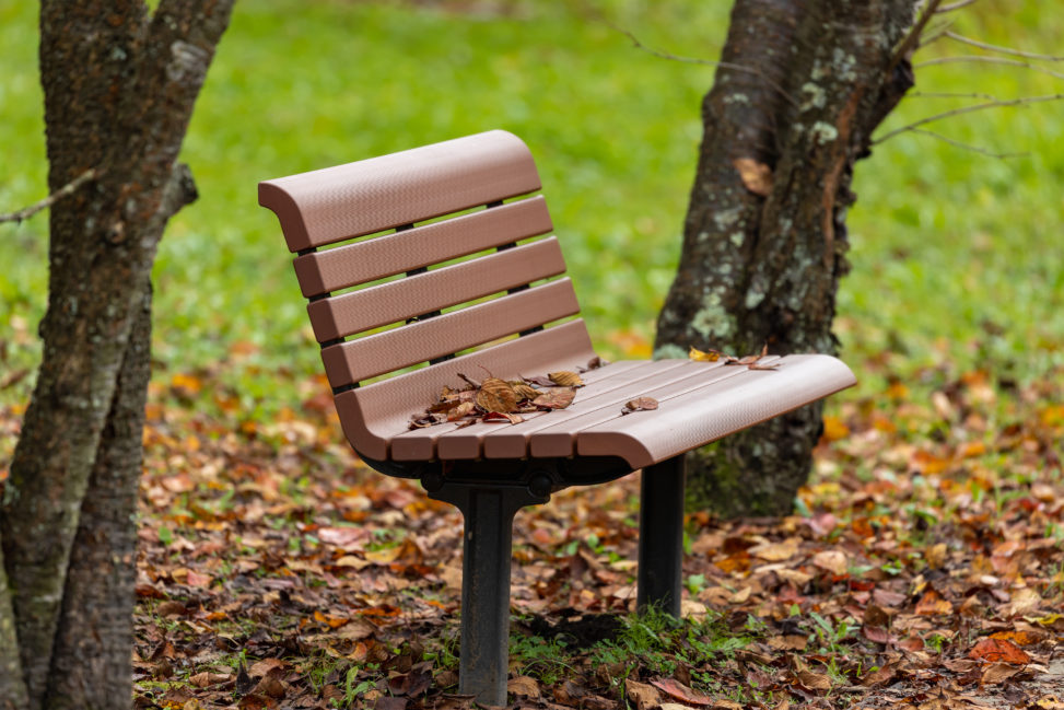 公園のベンチと秋の落ち葉の写真