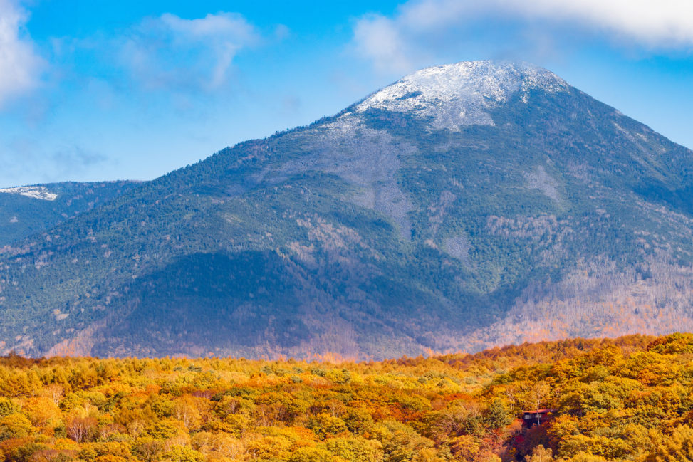 秋の蓼科山の写真