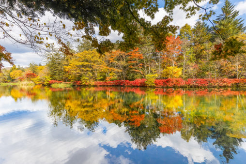 青空と紅葉の雲場池（軽井沢）の写真