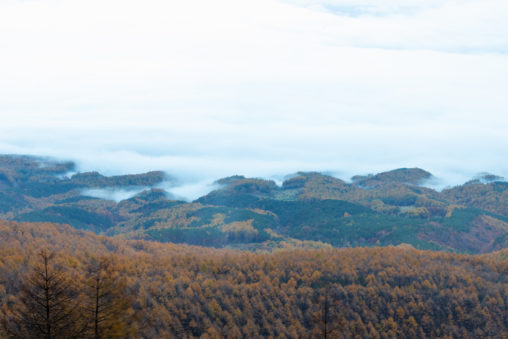 高峰高原の紅葉と雲海_2の写真