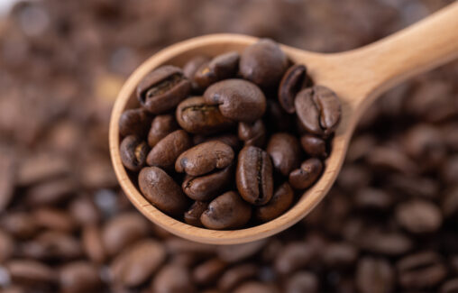 コーヒー豆／珈琲豆とスプーンの写真