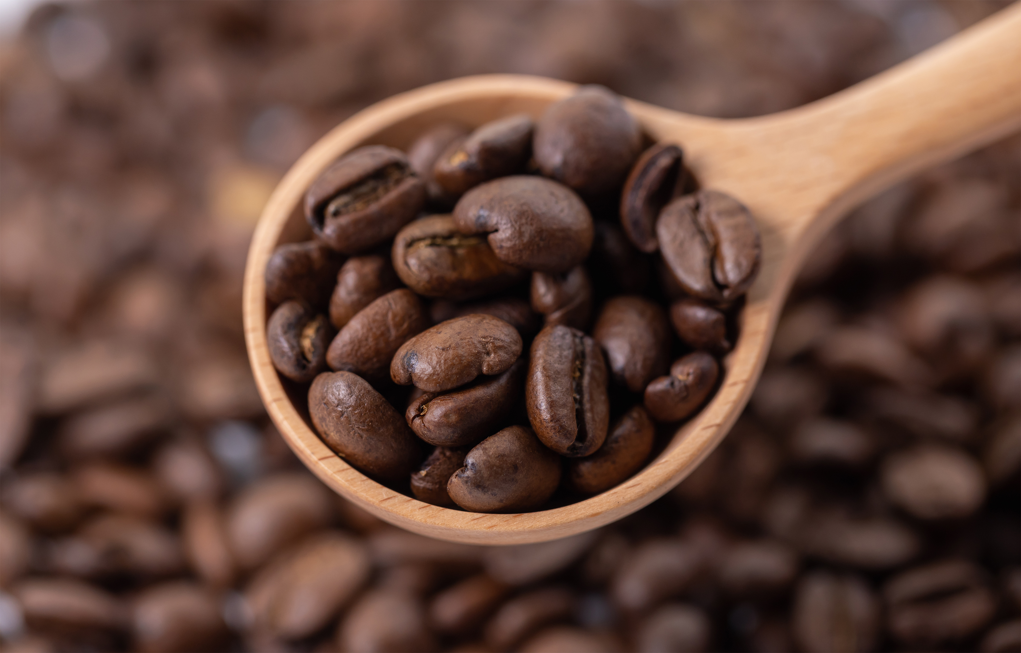コーヒー豆 珈琲豆とスプーン 無料の高画質フリー写真素材 イメージズラボ