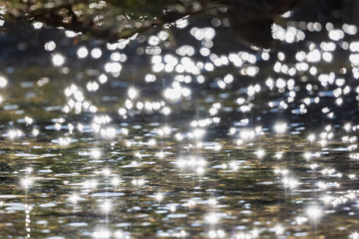 太陽光が湖面にキラキラ反射の写真