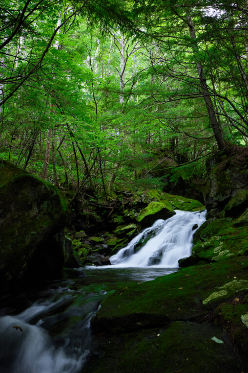 森の中の清流／滝／苔の岩の写真